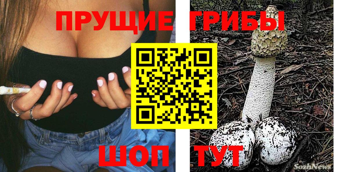 Галлюциногенные грибы GOLDEN TEACHER Зеленодольск