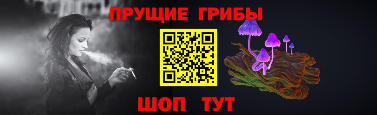 Зеленодольск  Псилоцибиновые грибы прущие грибы  Вход с VPN 